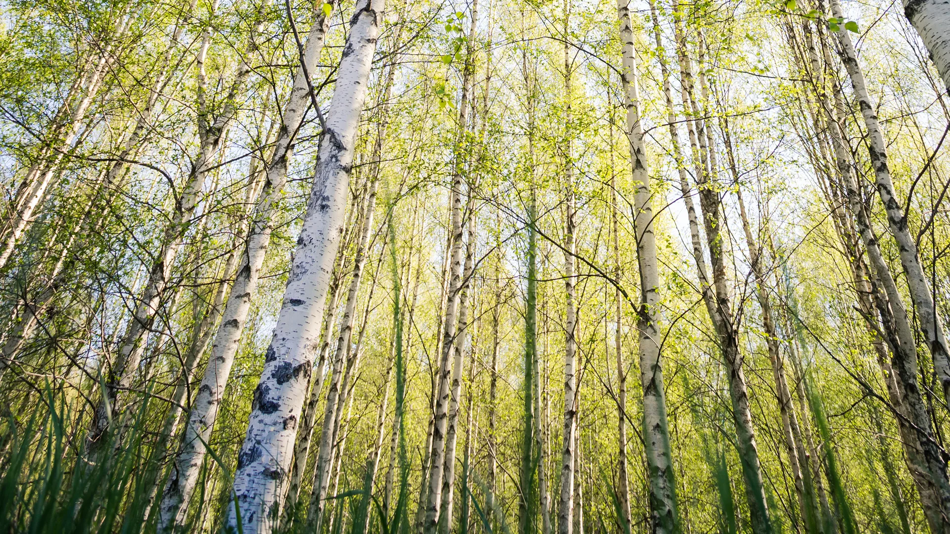 Branscher-motor-varmeatervinnigssystem-CTA1