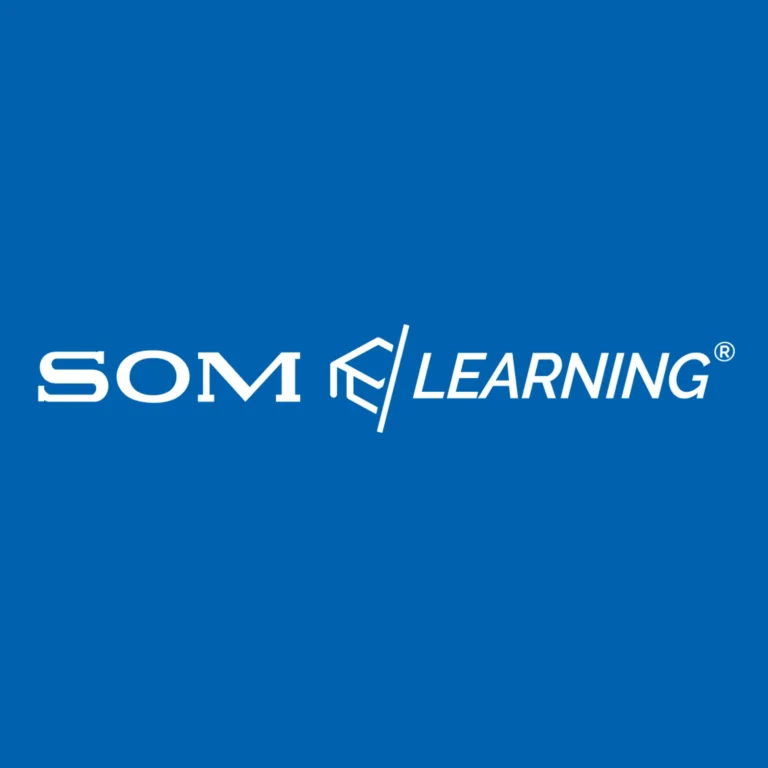 SomAware-SomLearning-blue